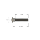 M4 Carriage Bolts with Flange Lock Nuts Dimensions